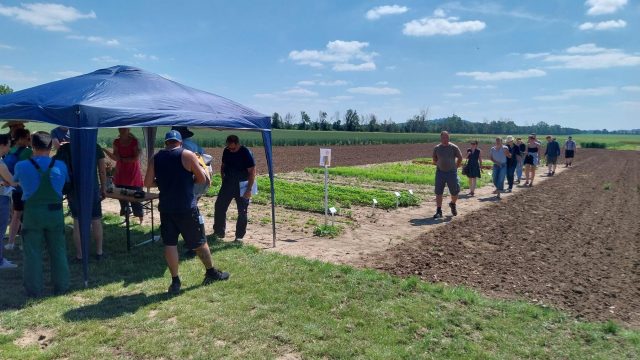 Tour of the various experimental plots on the Merbitz AEVZ of MLU.